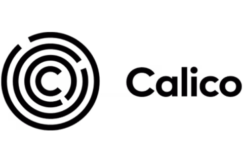Logo calico black